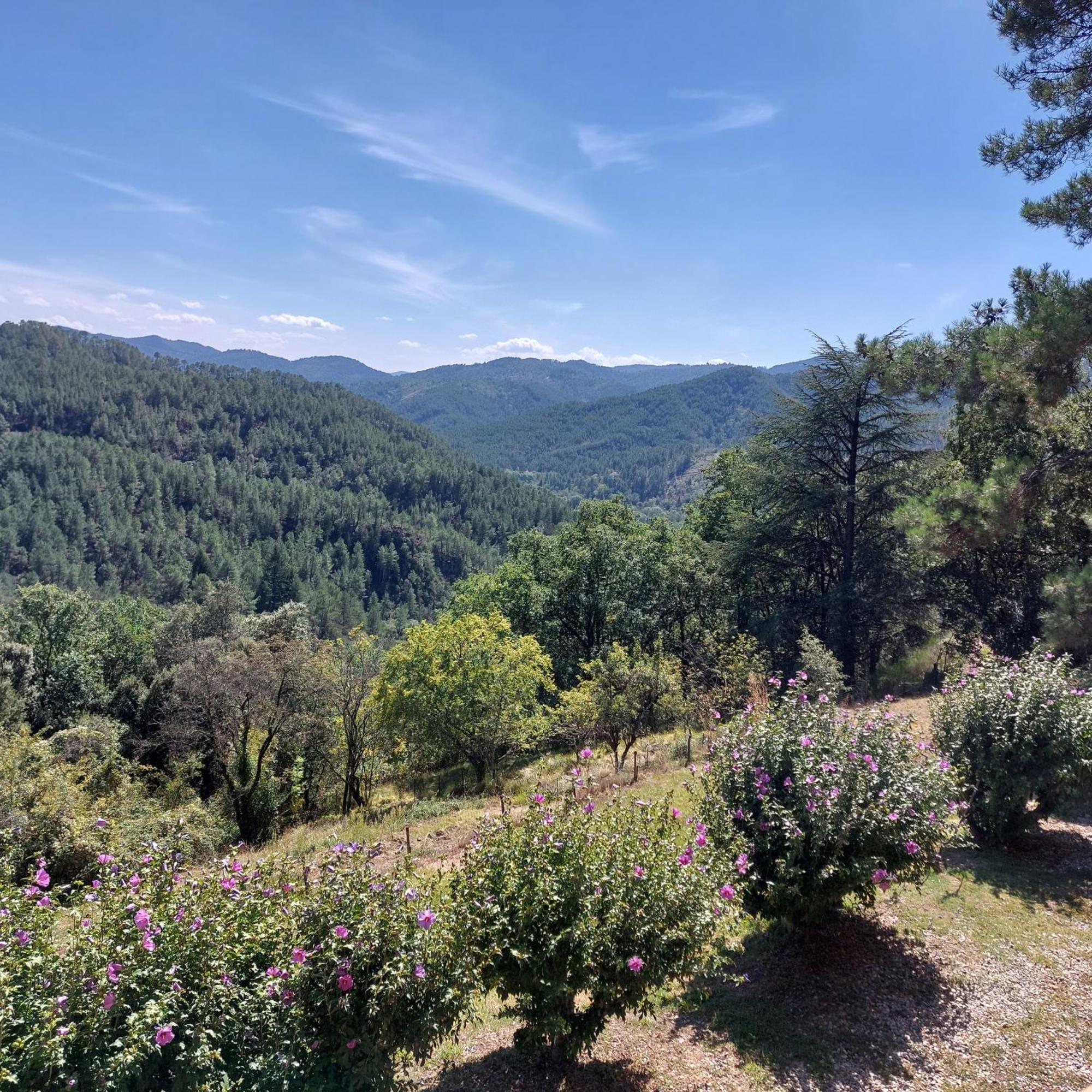 Chalet 14 Pers Avec Vue Panoramique Et Piscine Chauffee Genolhac Экстерьер фото