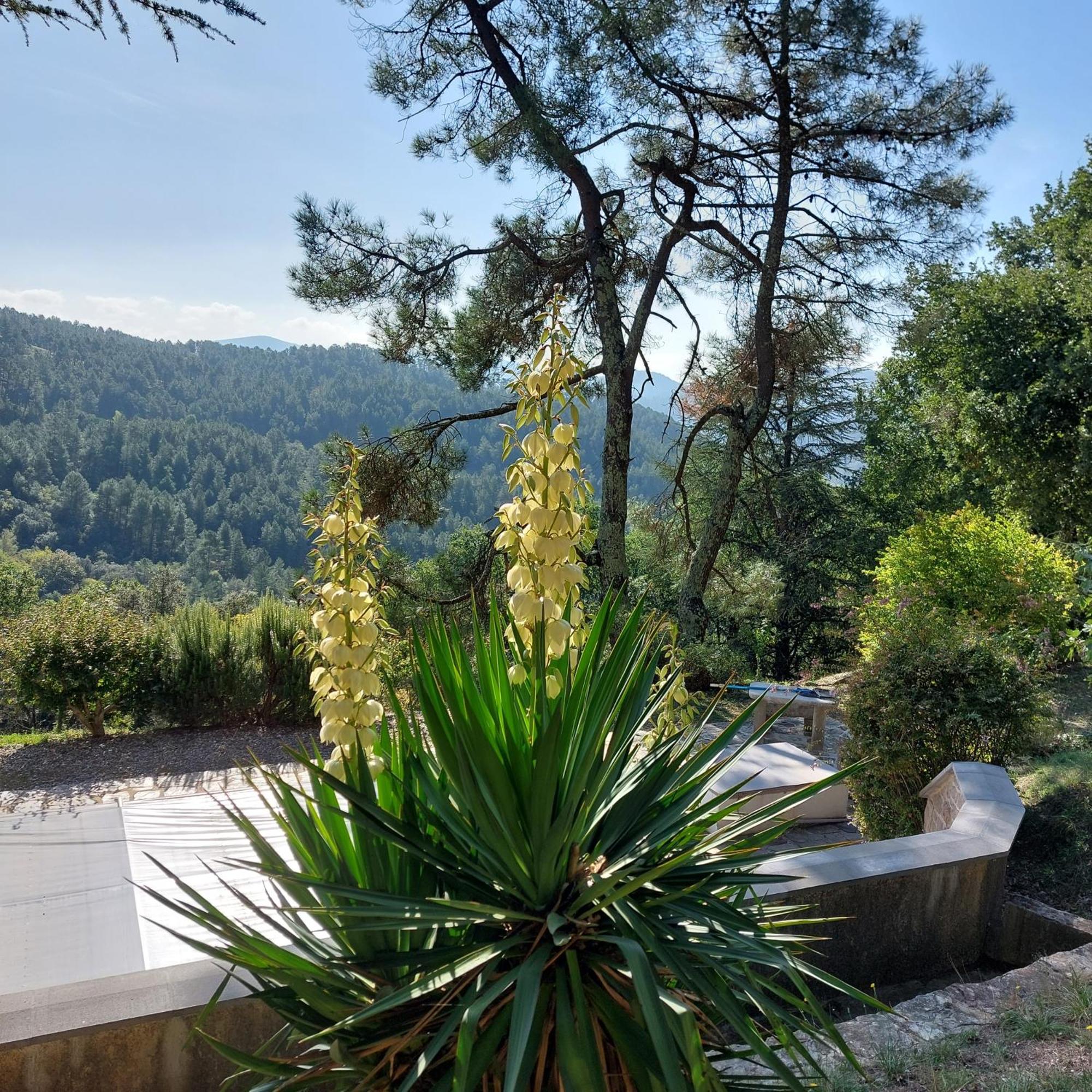 Chalet 14 Pers Avec Vue Panoramique Et Piscine Chauffee Genolhac Экстерьер фото